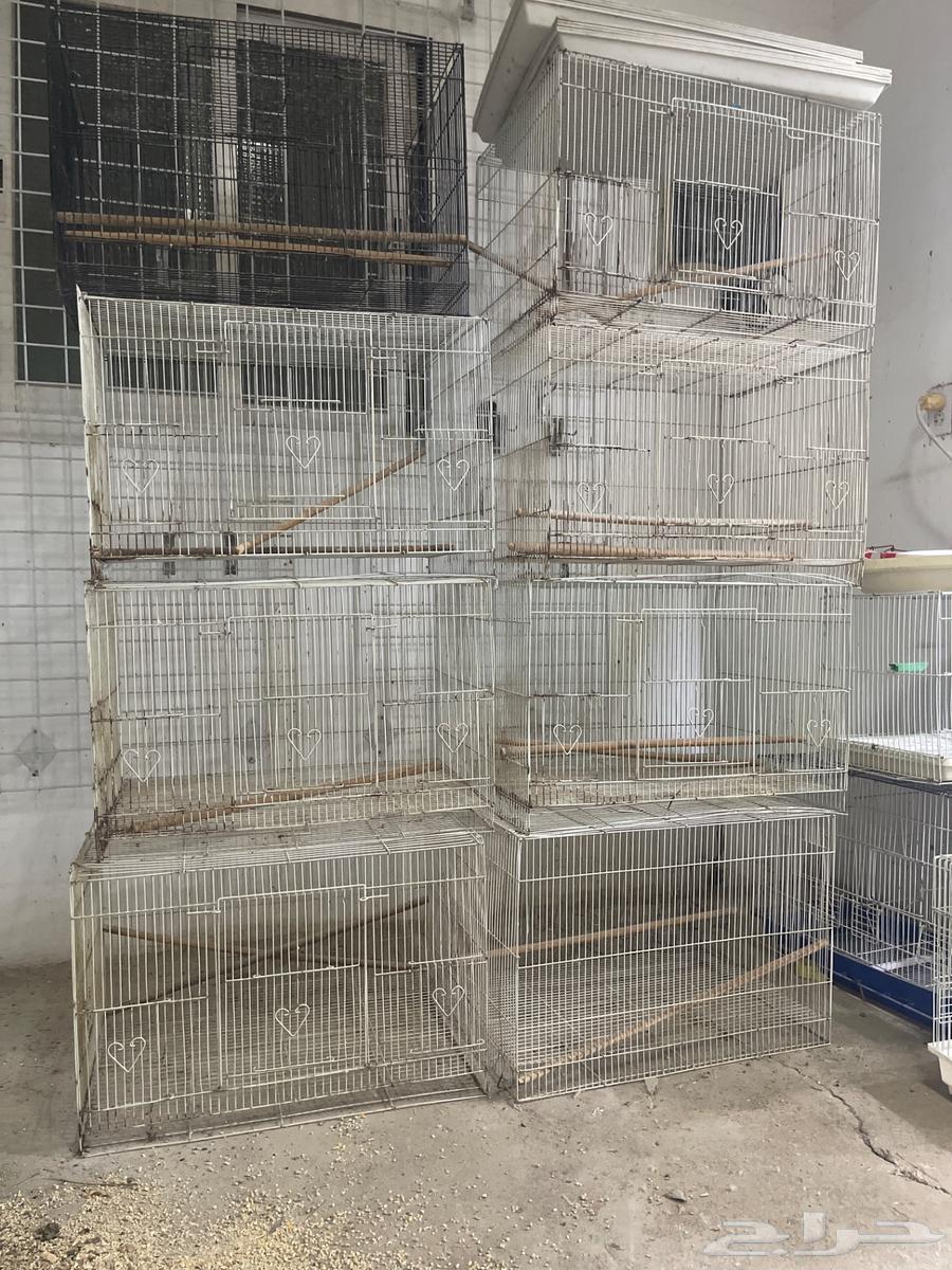 اقفاص للبيع العدد1064505688896131111