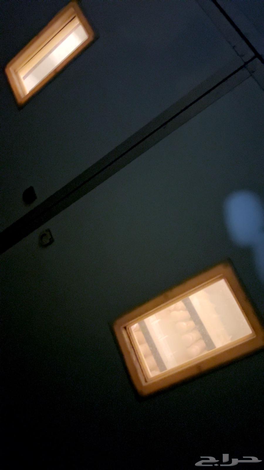 فقاصه 3000 بيضه توماتيك للبيع64510225291010114