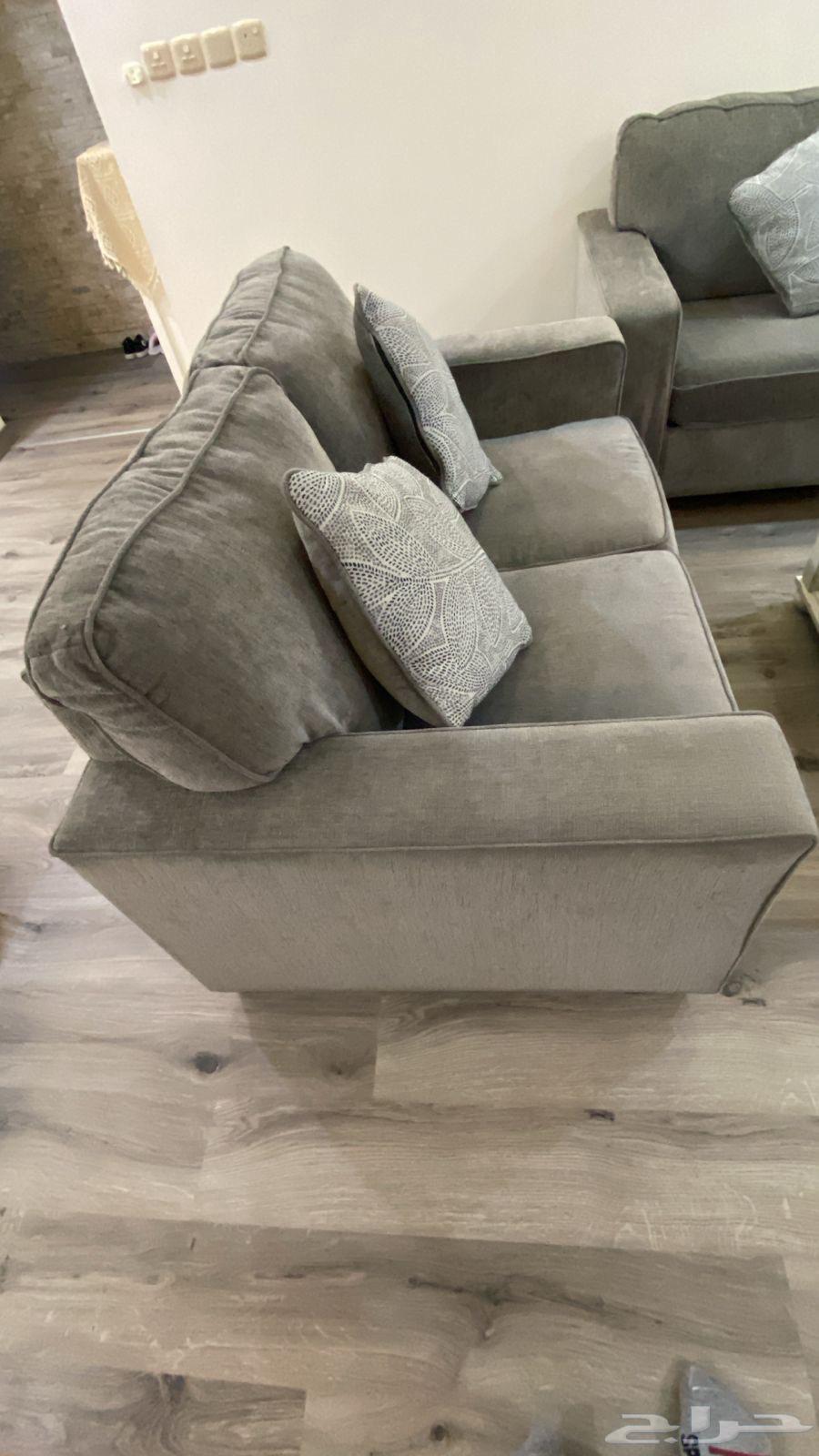 طقك كنب من آشلي - تاروت  الربيعية64511142684802111