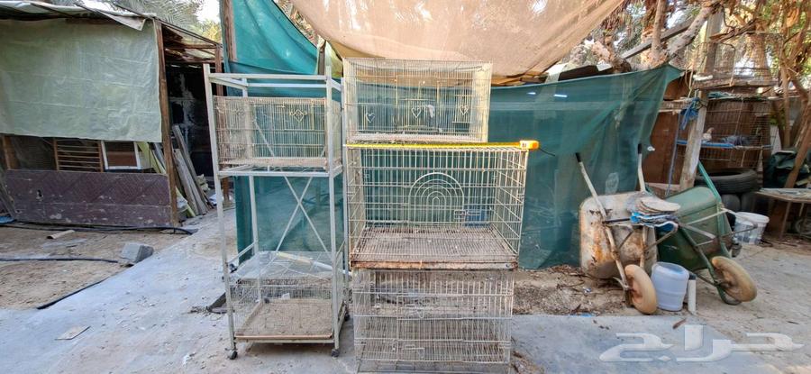 Cage Set + Stand64508312848641110