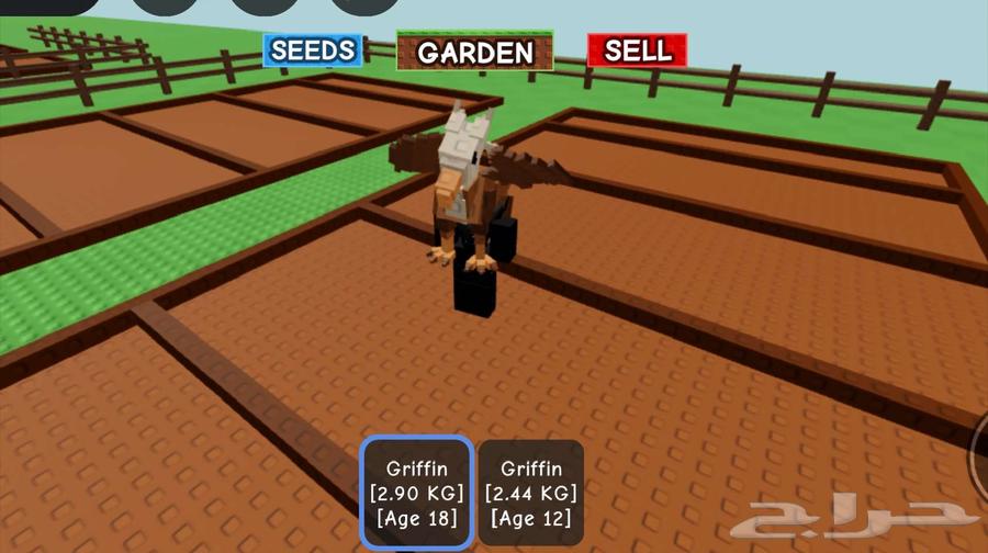 ماب المزرعه راكون64506021082497113