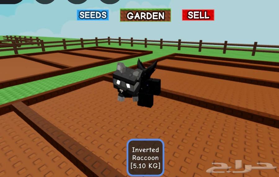 ماب المزرعه راكون64506021082497112