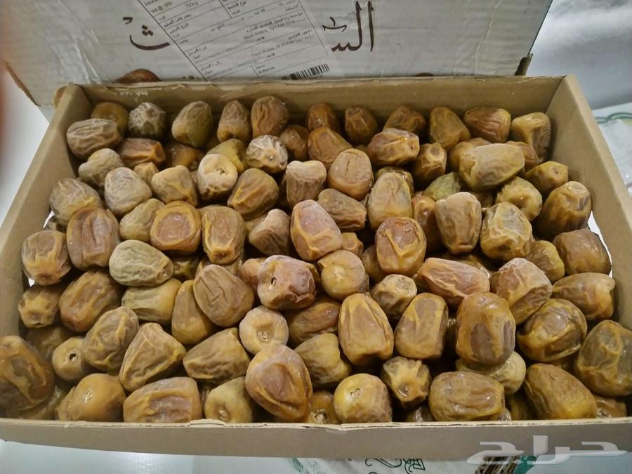 تمر سكري العام حبة وسط جملة الكرتون 30 ريال64504777646594110