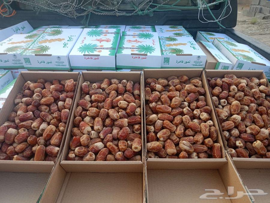 للبيع تمر صقعي الكرتون تقريبا  كيلوين64505724298371111