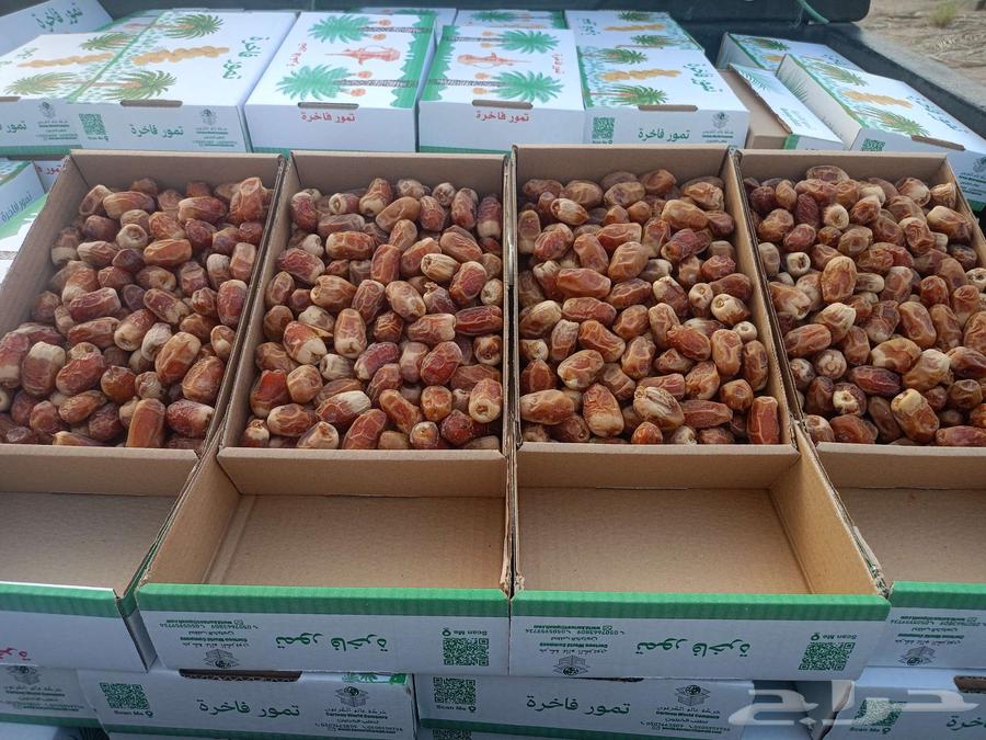 للبيع تمر صقعي الكرتون تقريبا  كيلوين64505724298371113