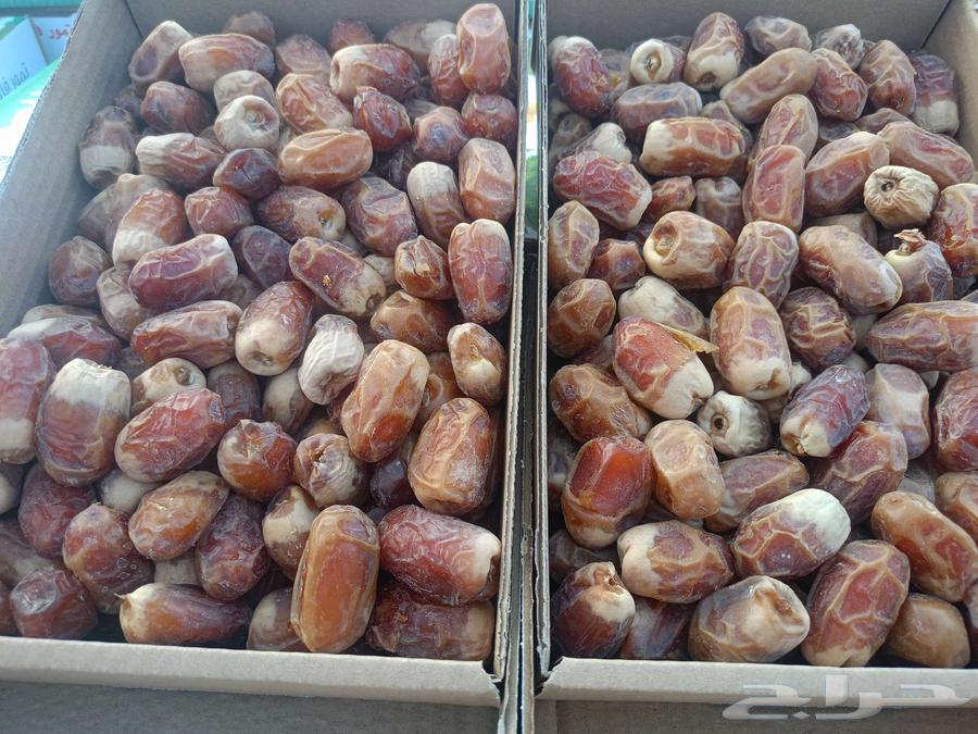 للبيع تمر صقعي الكرتون تقريبا  كيلوين64505724298371112