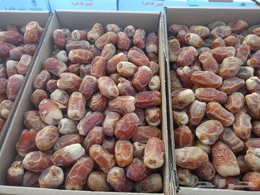 للبيع تمر صقعي الكرتون تقريبا  كيلوين64505724298371114