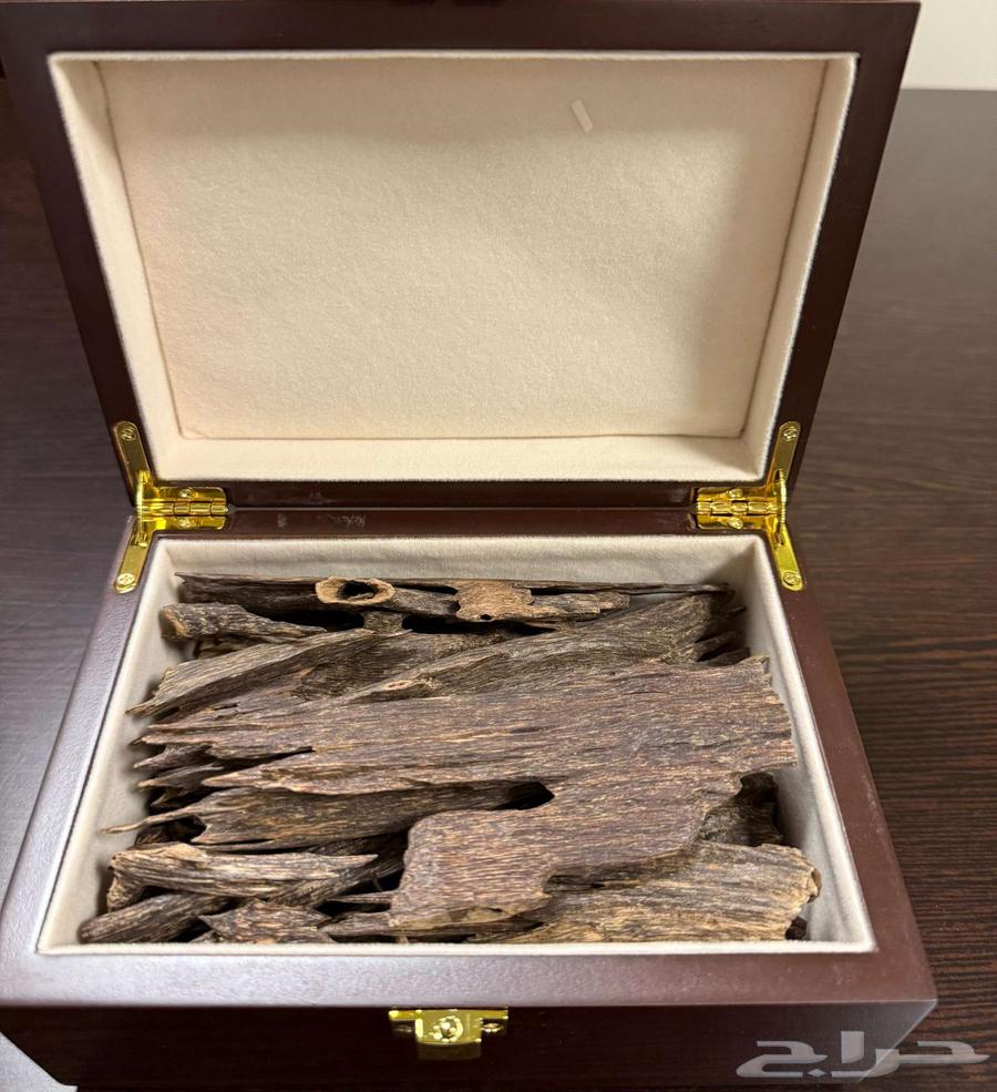 عود هندي رويال فاخر جبلي زورا - موري64510930196737111