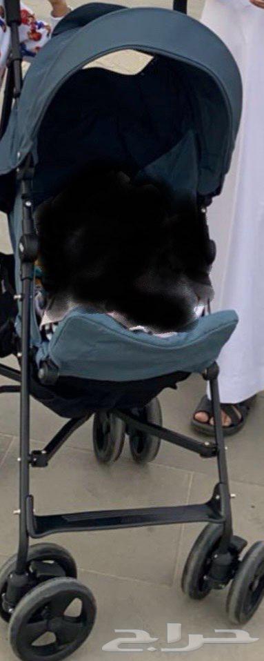 عربية ماماز باباز64517435020803110