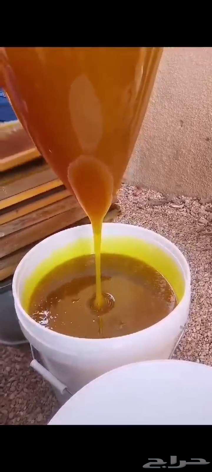 Athel Honey, Our Production for the Year 144764514279124482111