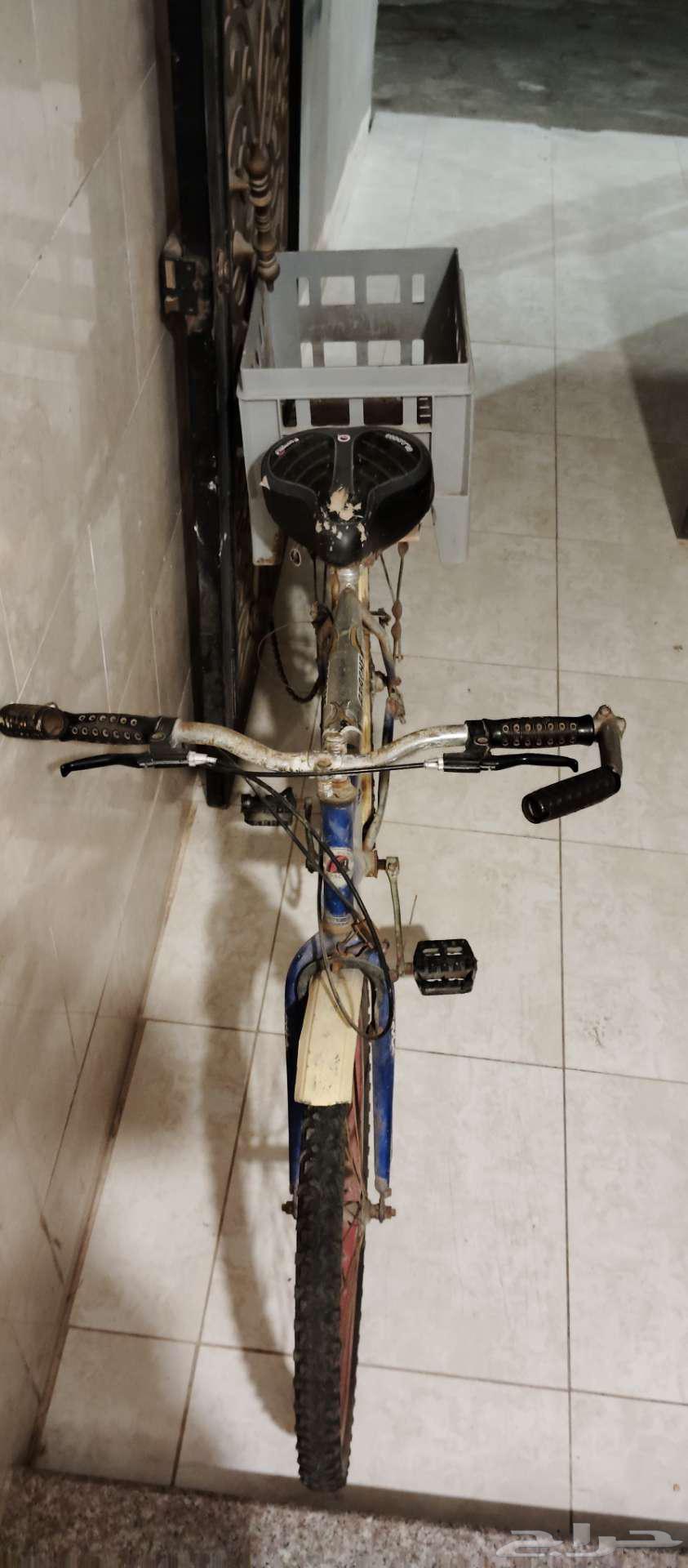 ينبع . دوار عزوز .64518261900034111