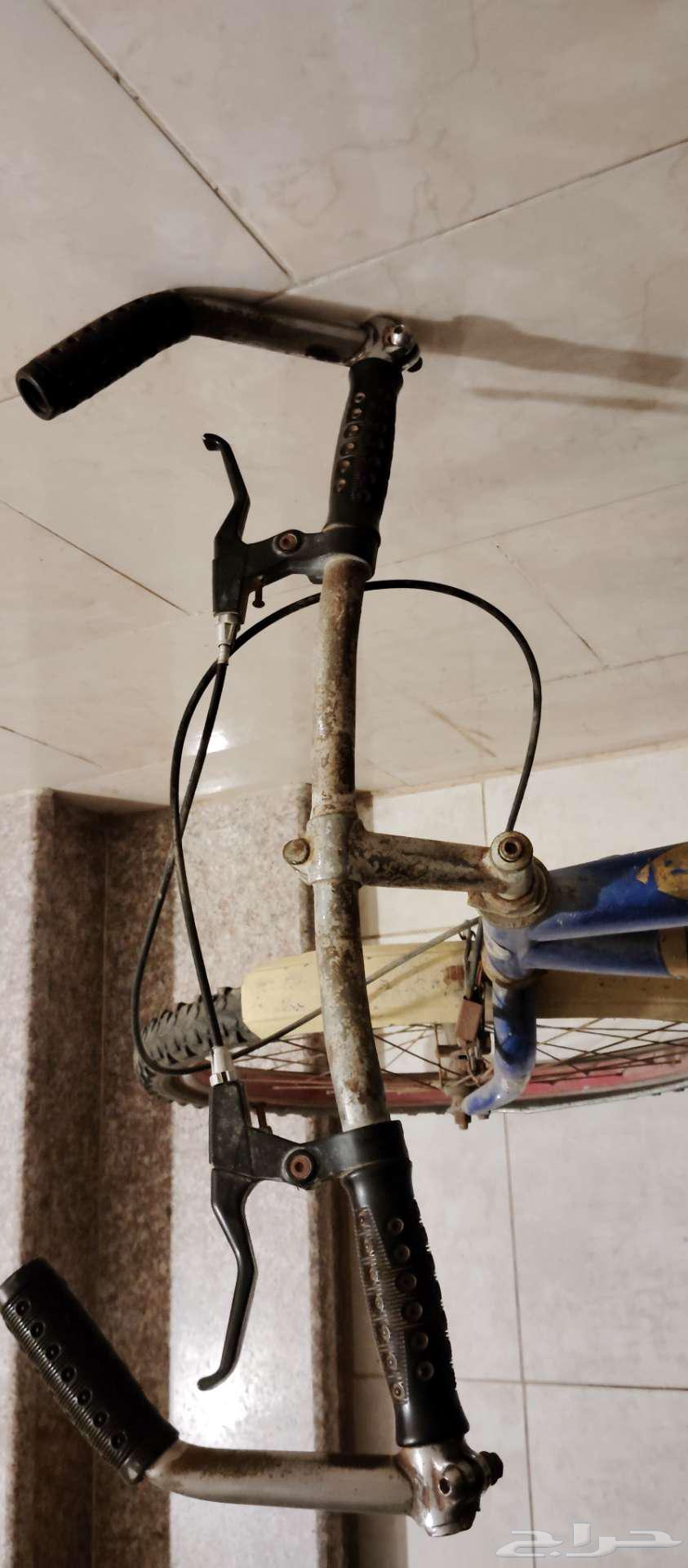 ينبع . دوار عزوز .64518261900034112