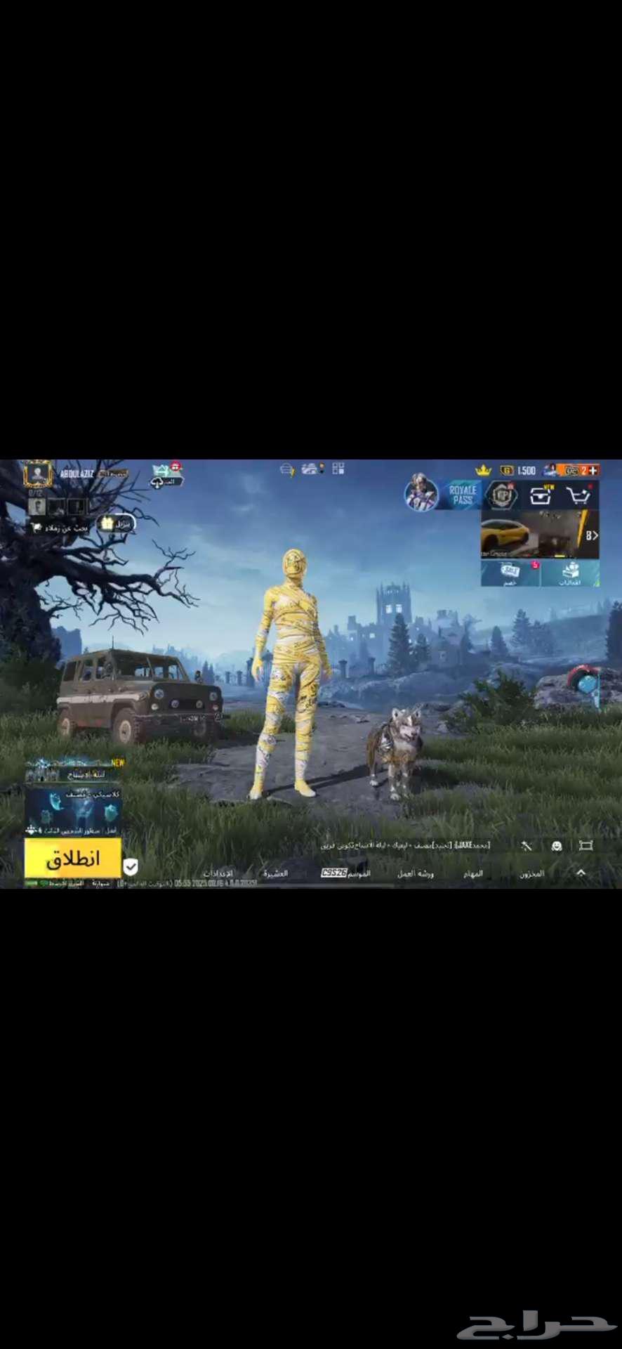 حساب ببجي للبيع64517162300289110