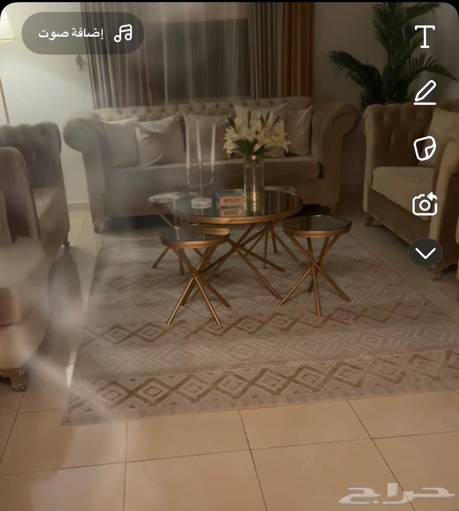 Sofa64519342295809110