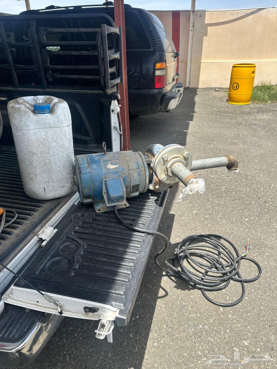 غظاس ديمنو سمنان اصلي كبير64518507864066110