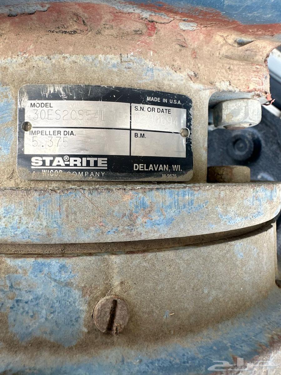 غظاس ديمنو سمنان اصلي كبير64518507864066111