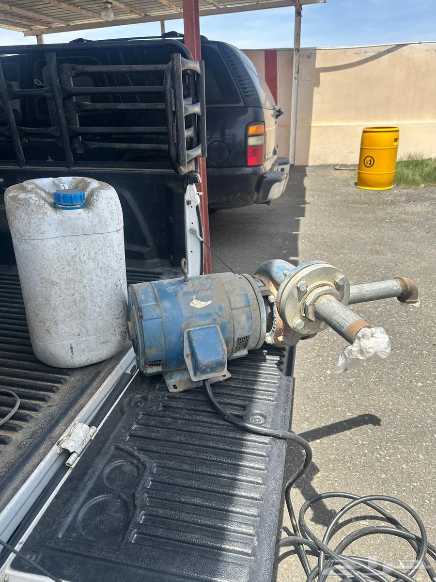 غظاس ديمنو سمنان اصلي كبير64518507864066113