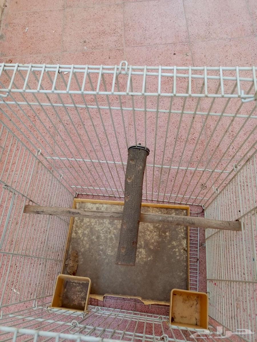 قفص للبيع64512413794435110