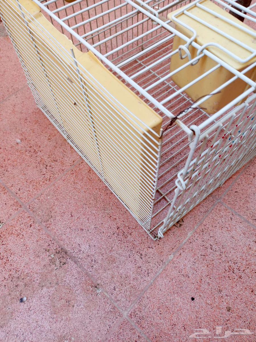 قفص للبيع64512413794435114