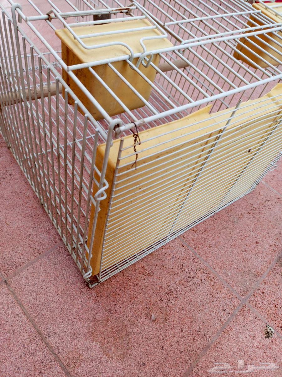 قفص للبيع64512413794435111