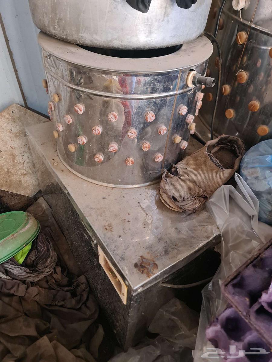 Incubators and Hatchers64513183078530112