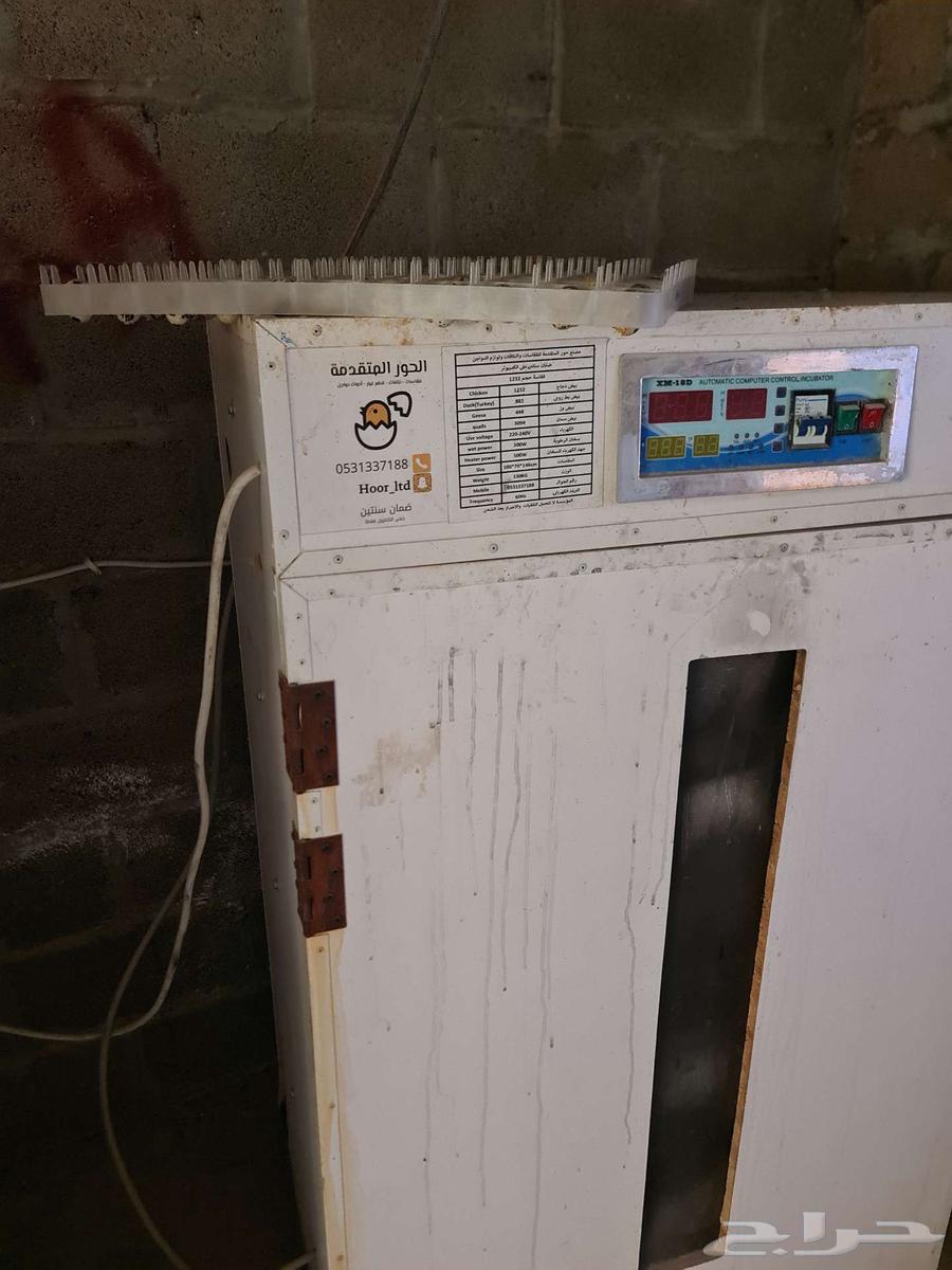 Incubators and Hatchers64513183078530114