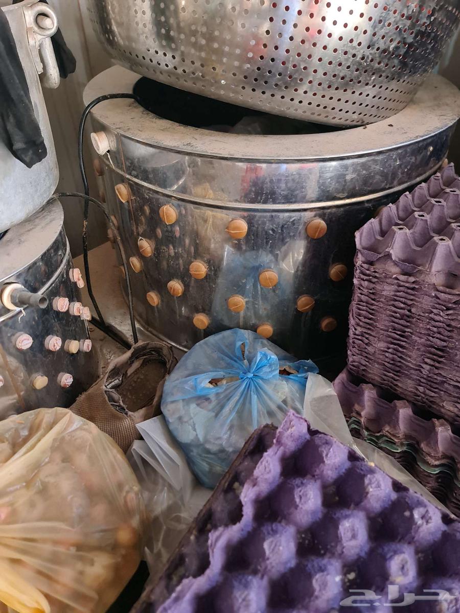 Incubators and Hatchers64513183078530110