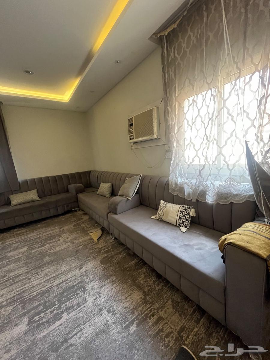 6 in 5 connected majlis sofa64513451710210111