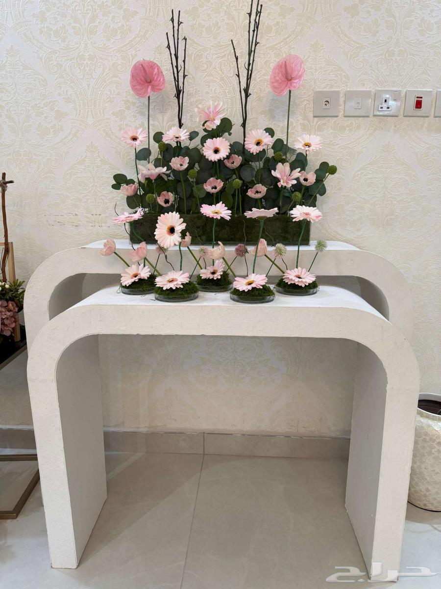 ستاند تنسيق مواليد64514582667138111