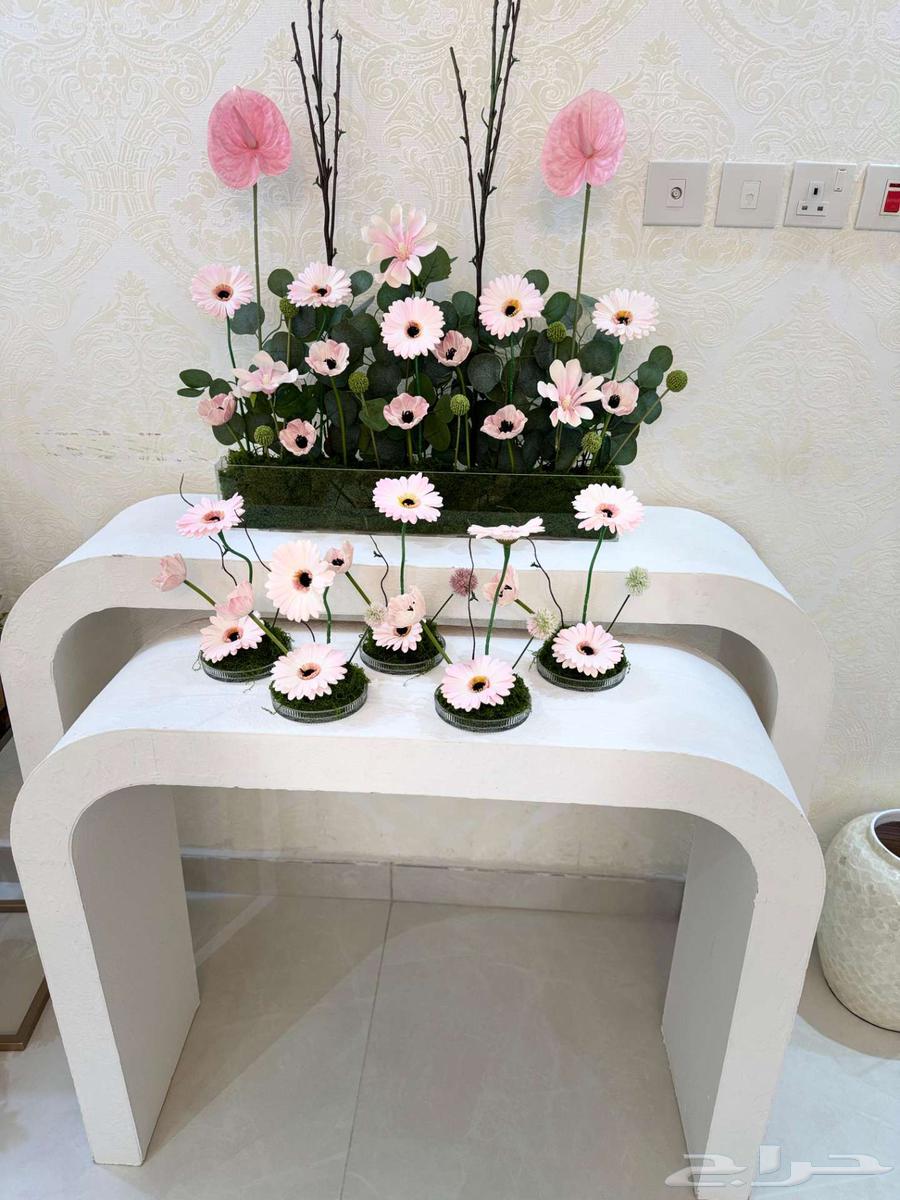 ستاند تنسيق مواليد64514582667138110