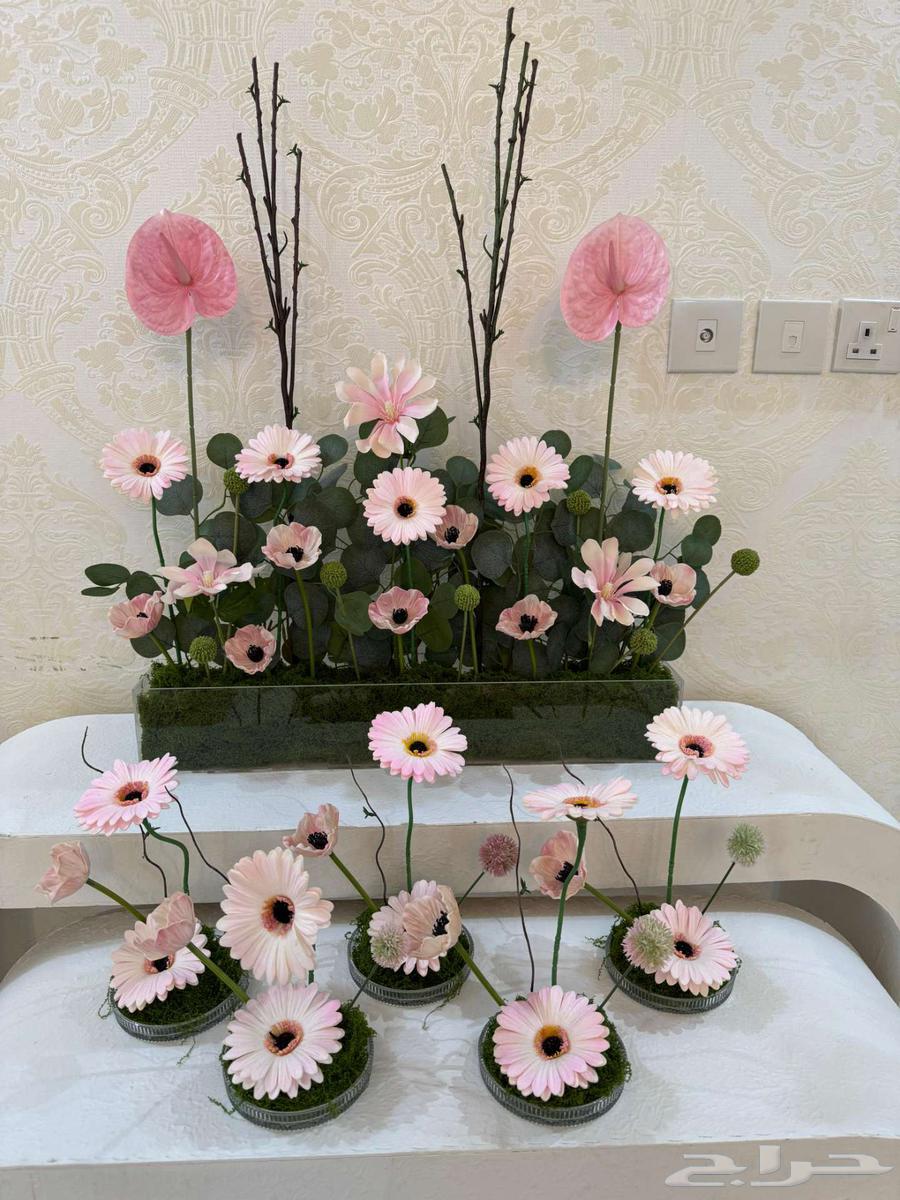 ستاند تنسيق مواليد64514582667138112