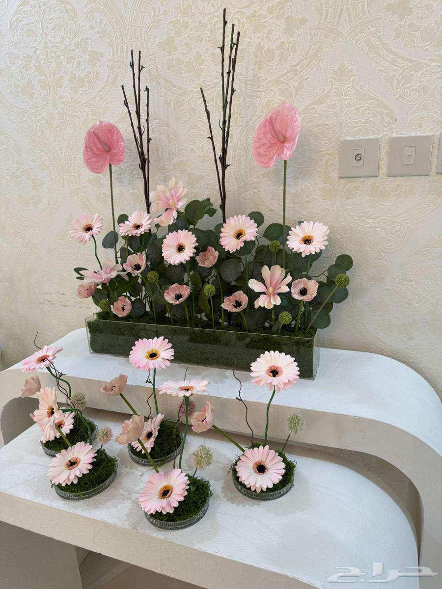 ستاند تنسيق مواليد64514582667138113