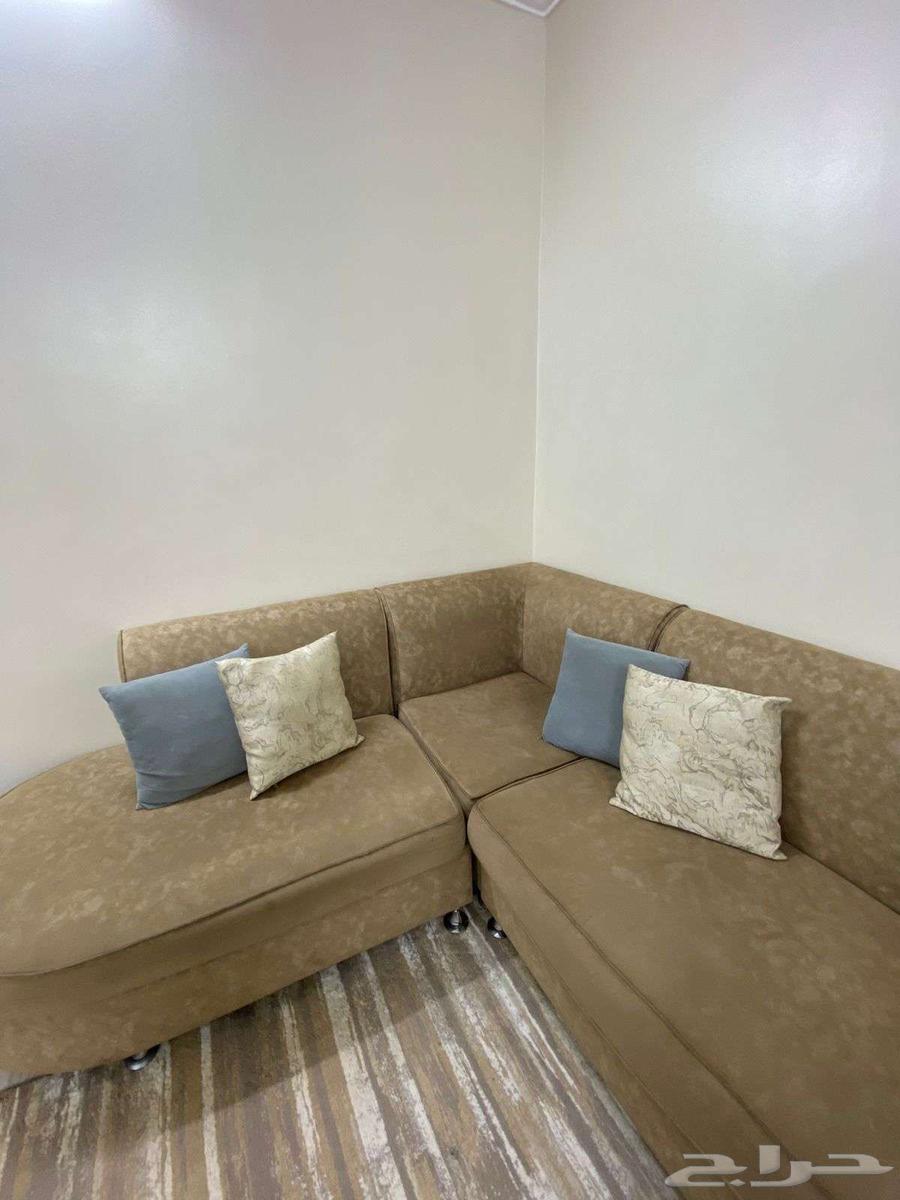 Clean L-shaped sofa64515332706433111