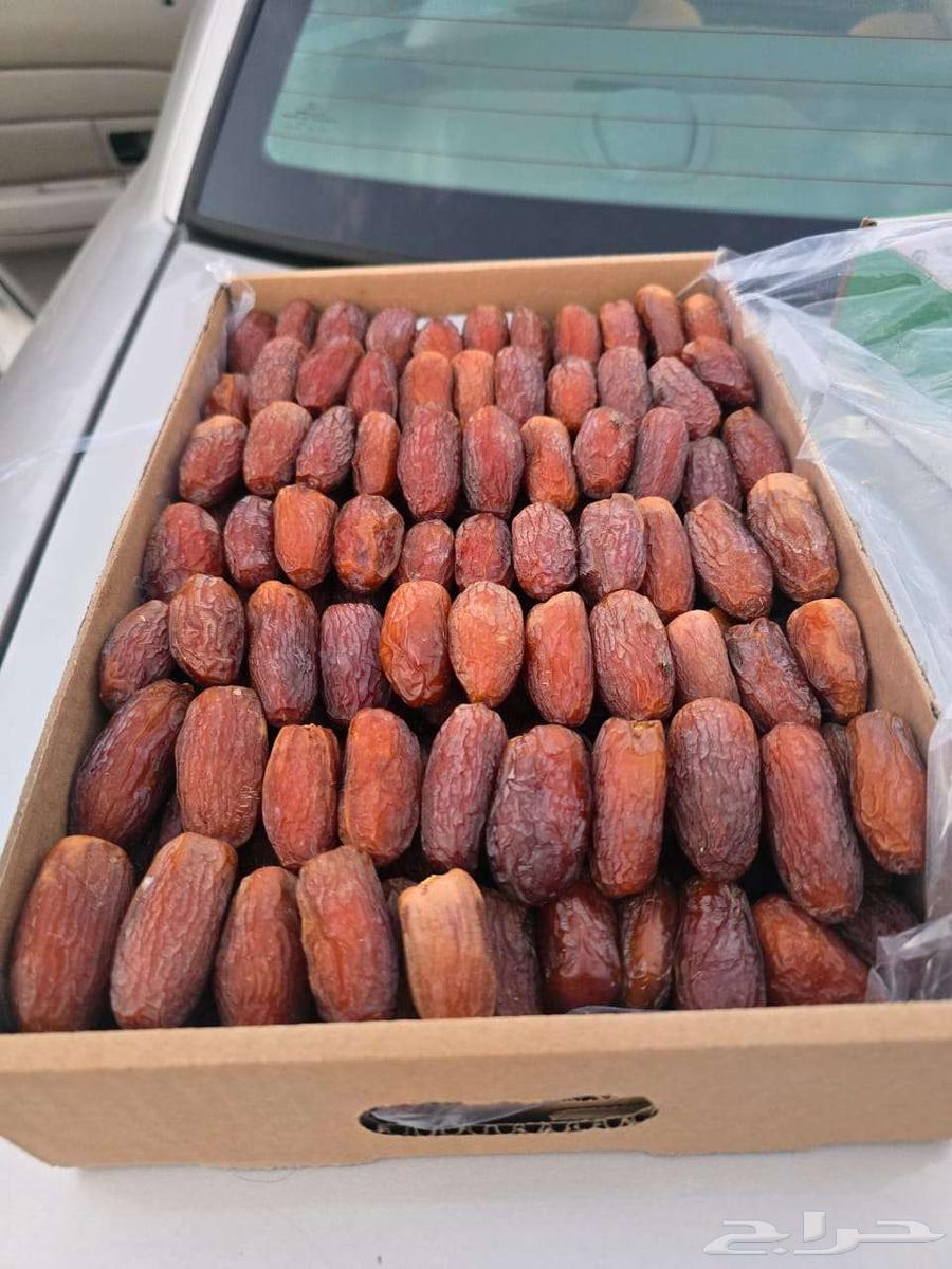 Fresh Majdool Dates New Product64516155746689110