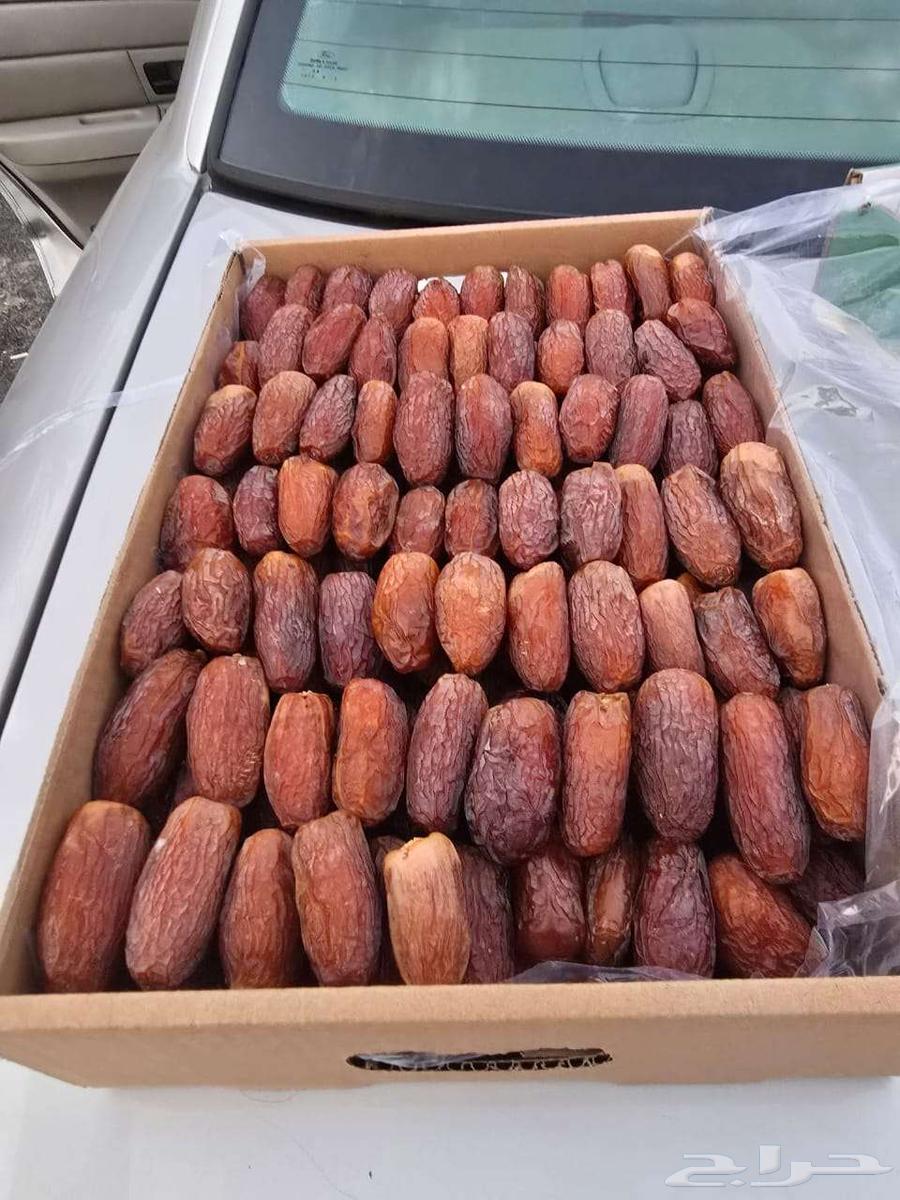 Fresh Majdool Dates New Product64516155746689111