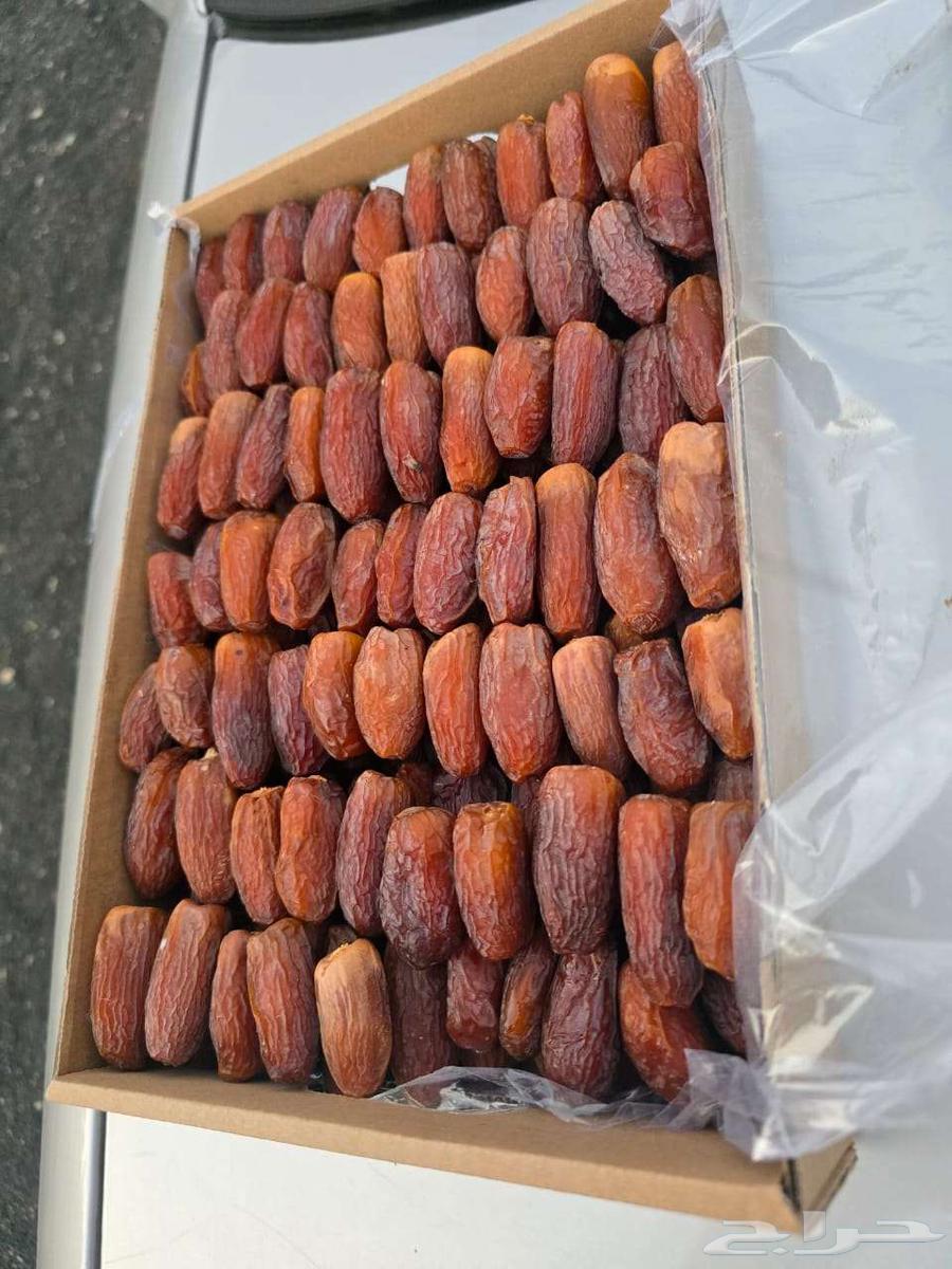 Fresh Majdool Dates New Product64516155746689113