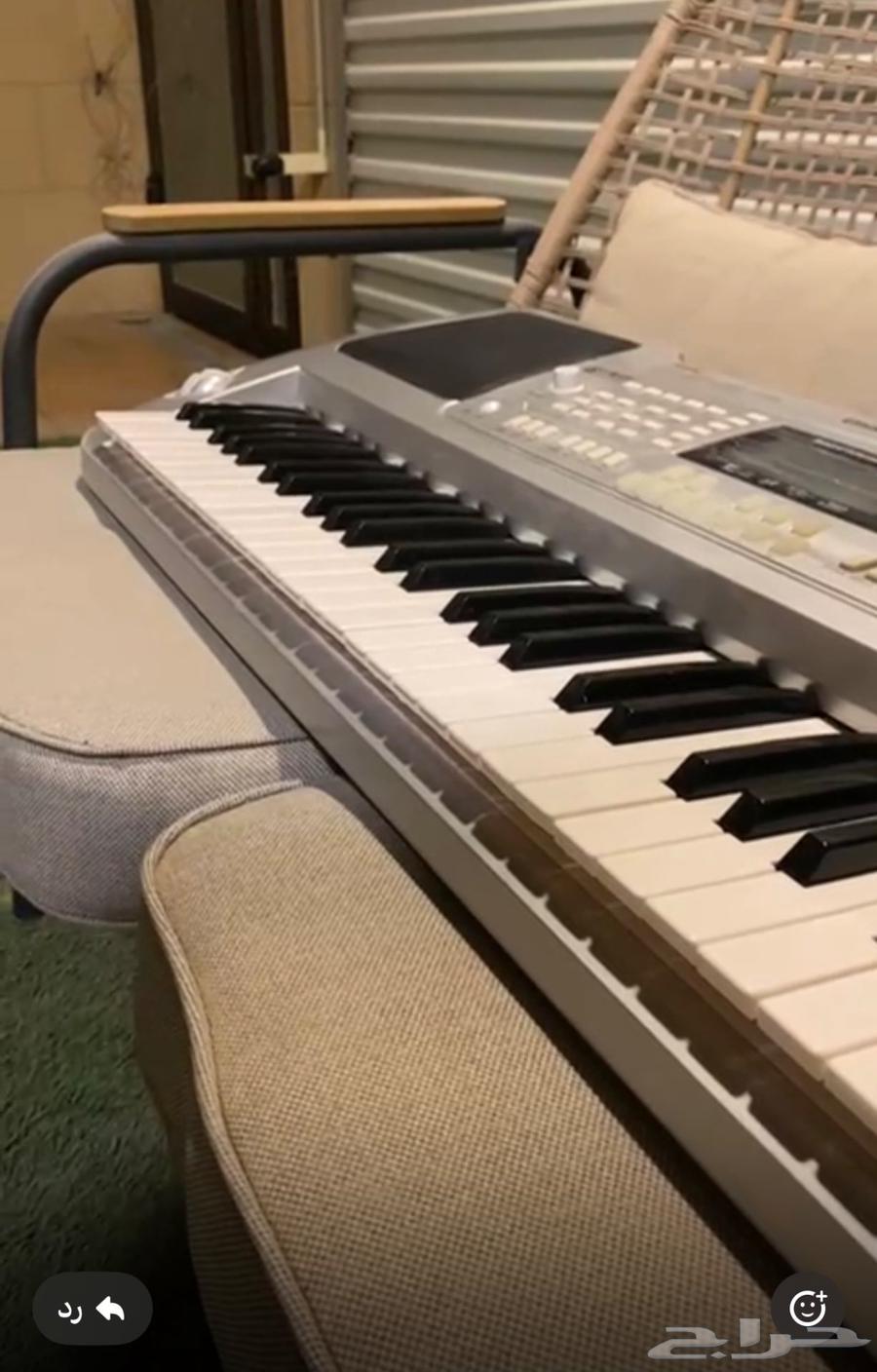 اورق للبيع64513438295553114