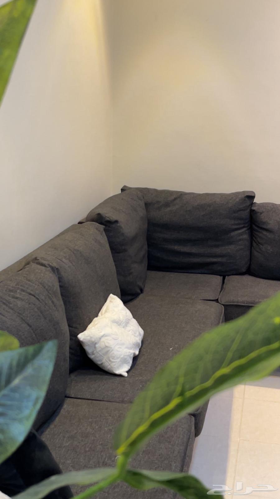 كنب صاله للبيع المستعجل64520797798402111