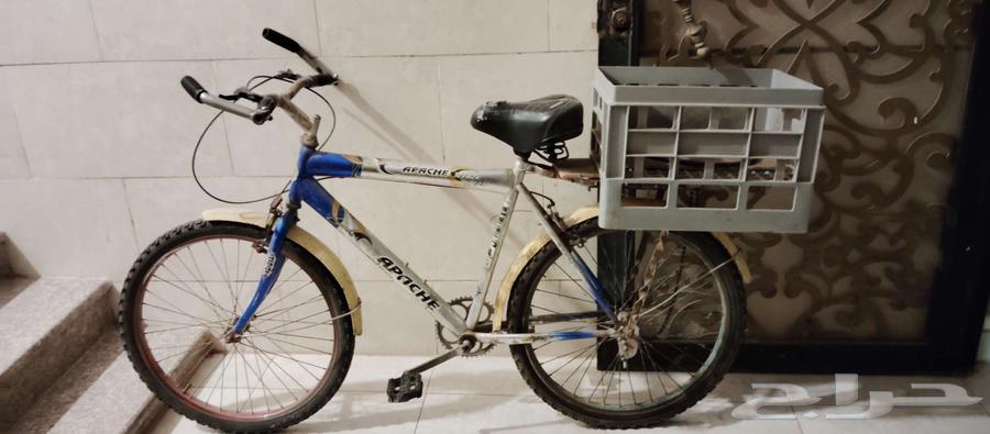 ينبع . دوار عزوز .64518261900034110