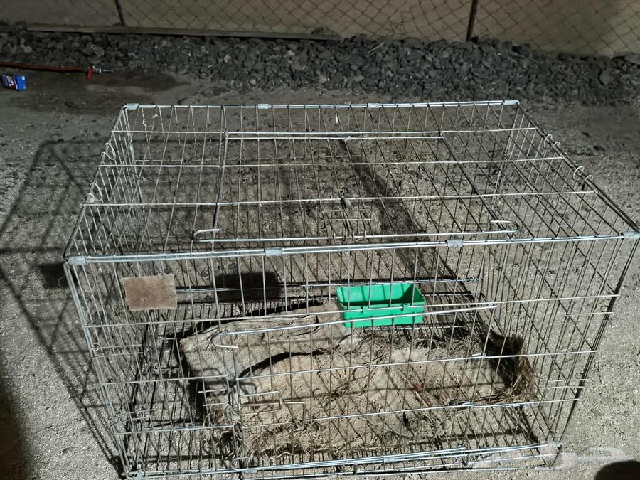 Cages64517262336641112