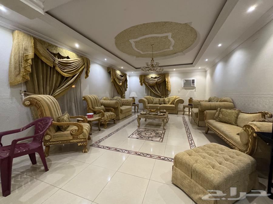 كنب صالون64518381203331114