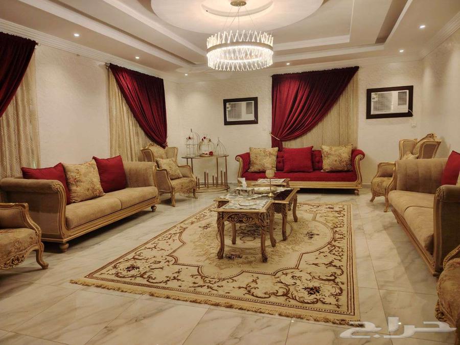 صالون ضيوف فخم64516059039874113