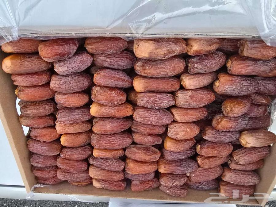 Fresh Majdool Dates New Product64516155746689112