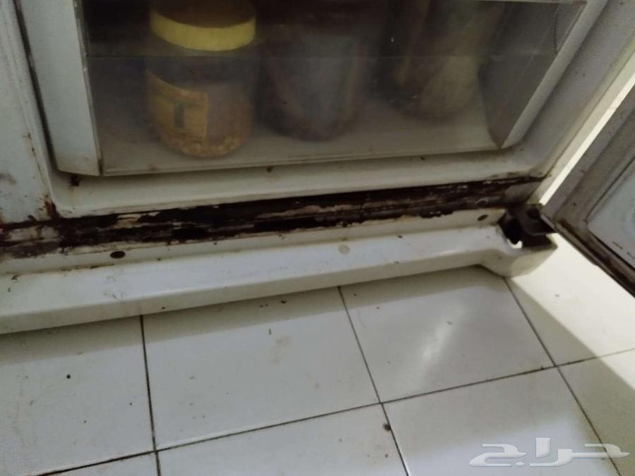 ثلاجه بابين64516582692227111