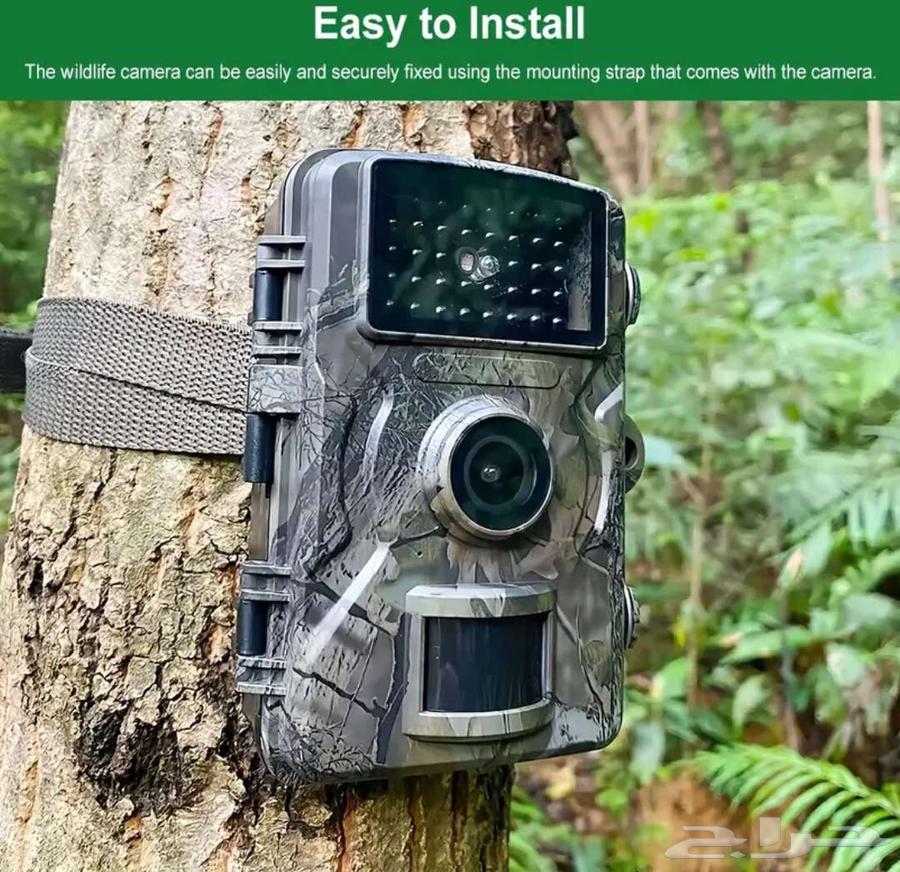 كاميرا مراقبة وتصوير الحياة البرية64517747419905110