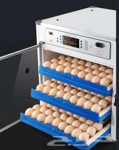 SOFAB 340-Egg Poultry Incubator Machine64520600102915110