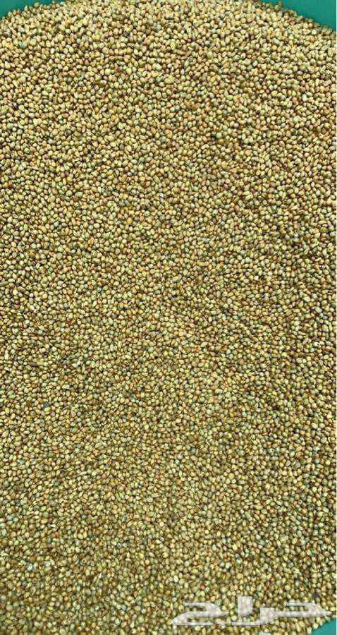 دخن بيضان 10 كيلو64523668728450110