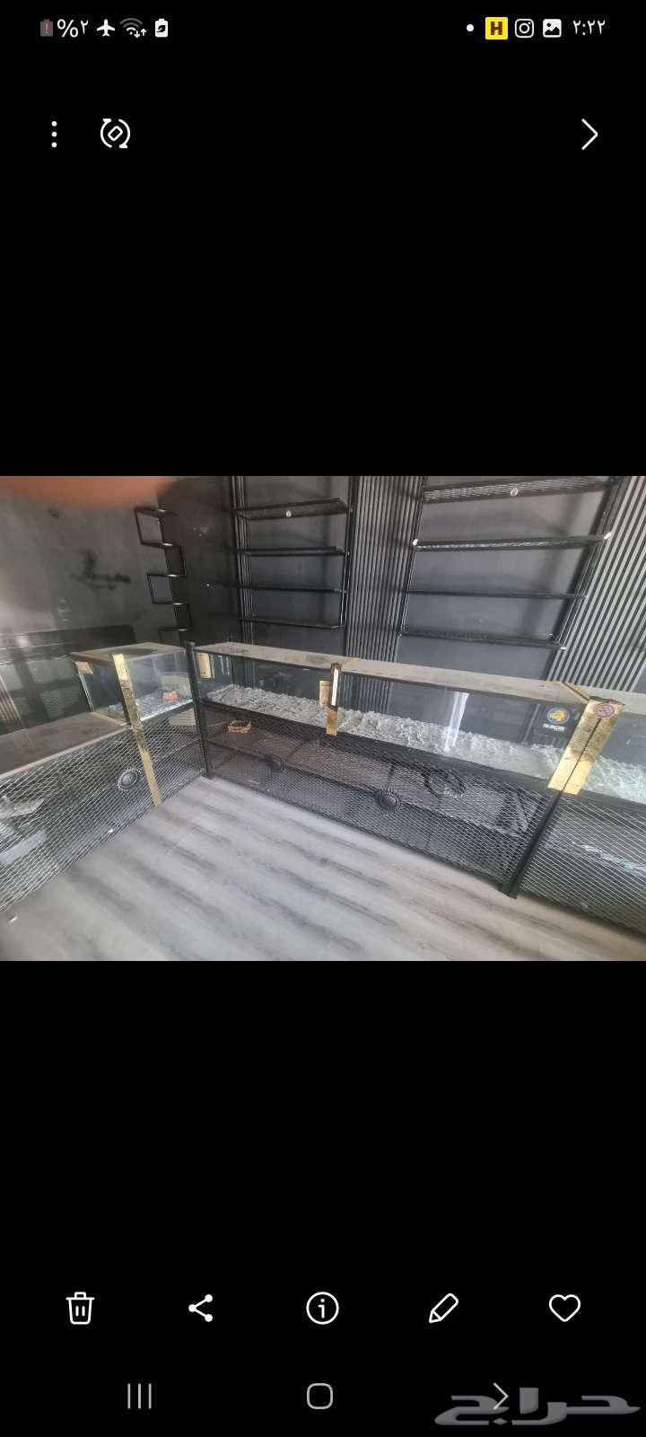 ديكور نضيف للبيع بسبب السفر64530642309250113