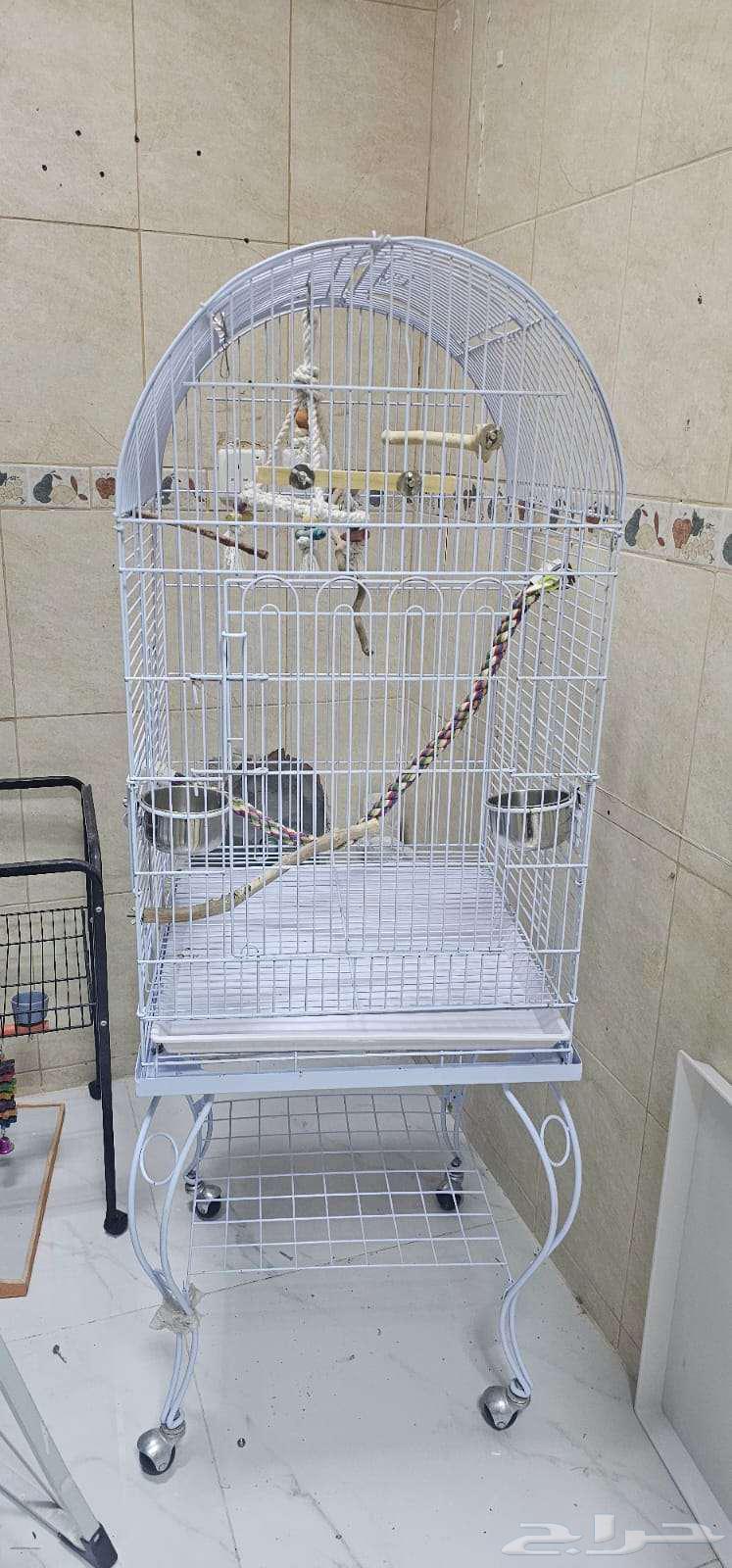 قفص ببغاء للبيع64516424332418111