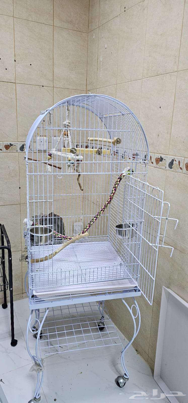 قفص ببغاء للبيع64516424332418110